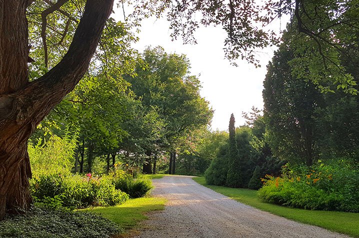 Starhill Forest Arboretum, United States